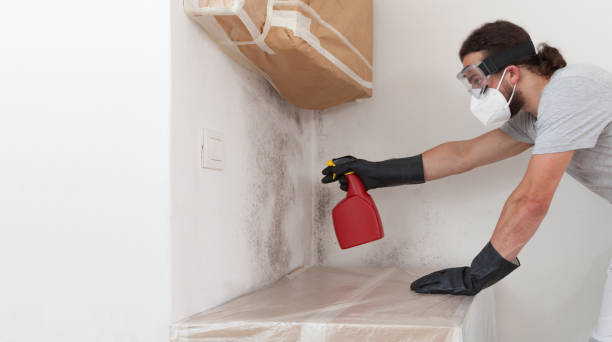 Professional Bathroom Mold Removal technician working in Medinah, IL
